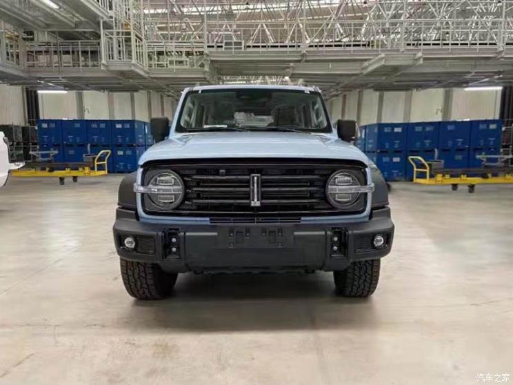 長城汽車 坦克300 2021款 2.0T 致敬莫奈限定版