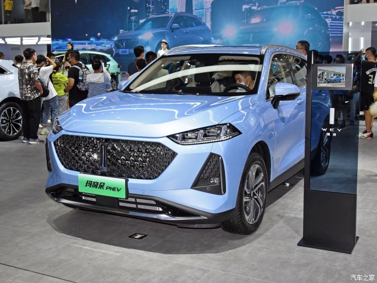 長城汽車 瑪奇朵新能源 2021款 基本型