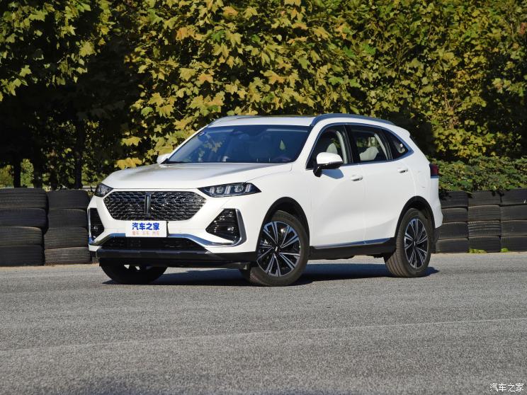 長(zhǎng)城汽車 拿鐵 2021款 1.5T 試裝車
