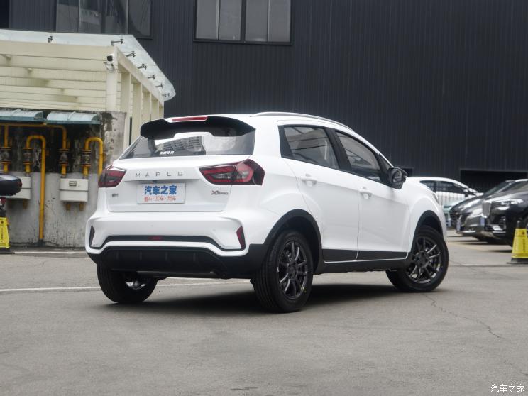 睿藍汽車 睿藍汽車X3 PRO 2022款 1.5L 手動小萌