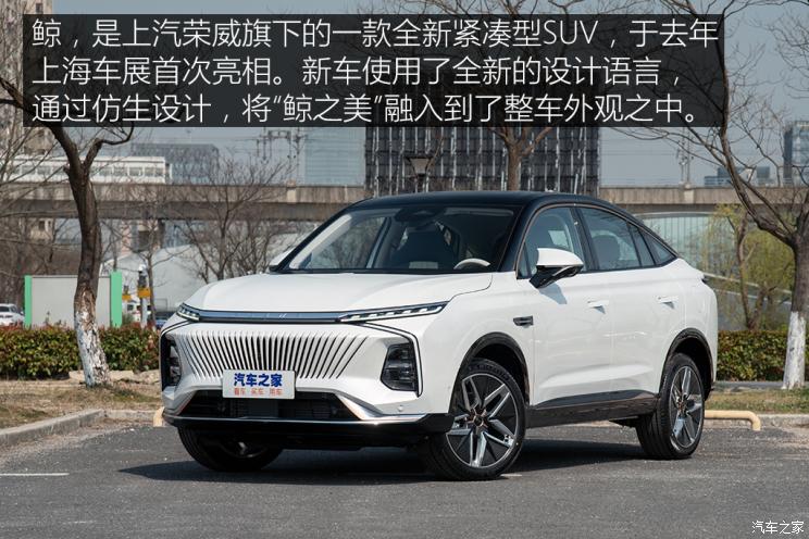 上汽集團 鯨 2022款 2.0T 藍鯨版