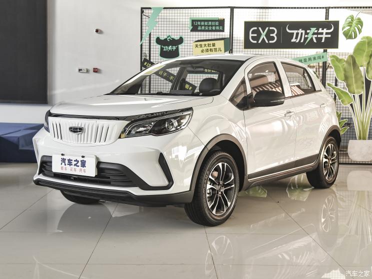 幾何汽車 EX3 功夫牛 2021款 堅強(qiáng)牛牛