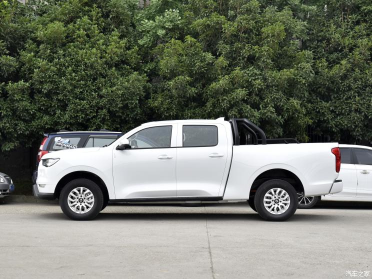 長城汽車 炮新能源 2021款 商用版領航型大雙